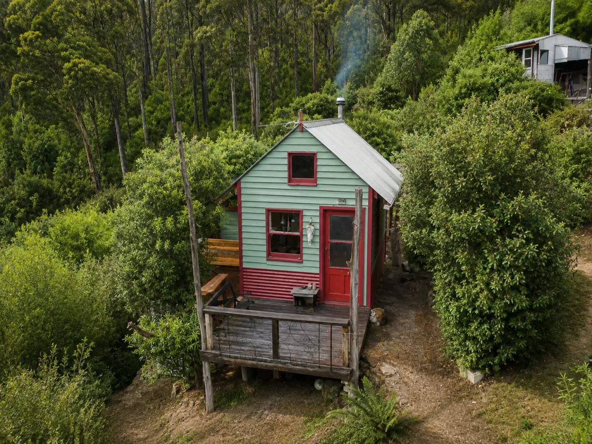 Este artista vive solo en una cabaña aislada en plena naturaleza — ¡El interior te dejará boquiabierto!