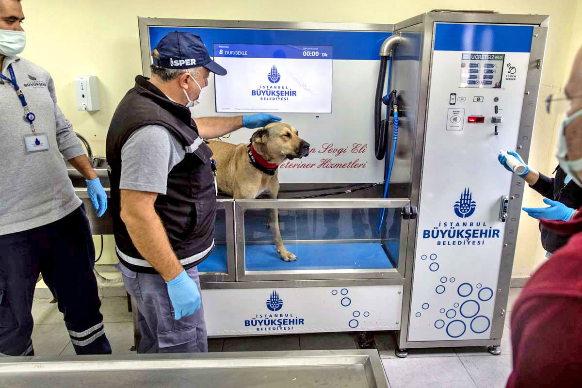 Γυναίκα πίστευε ότι θα μπορούσε να κοιμάται με ασφάλεια με το κατοικίδιο Python της κάθε βράδυ, μέχρι που ο κτηνίατρος της έδειξε την εκπληκτική αλήθεια