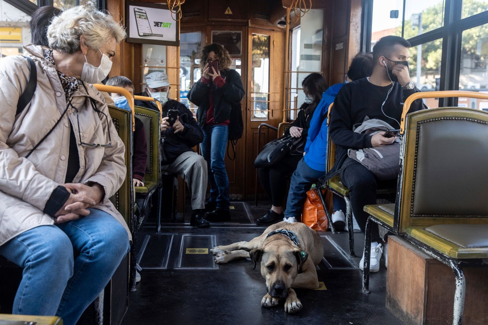 Γυναίκα πίστευε ότι θα μπορούσε να κοιμάται με ασφάλεια με το κατοικίδιο Python της κάθε βράδυ, μέχρι που ο κτηνίατρος της έδειξε την εκπληκτική αλήθεια