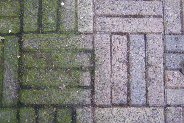 Retirer les taches vertes sur les carreaux de votre terrasse ? Avec cette astuce, c’est très simple ! Vous devez vraiment essayer ça !