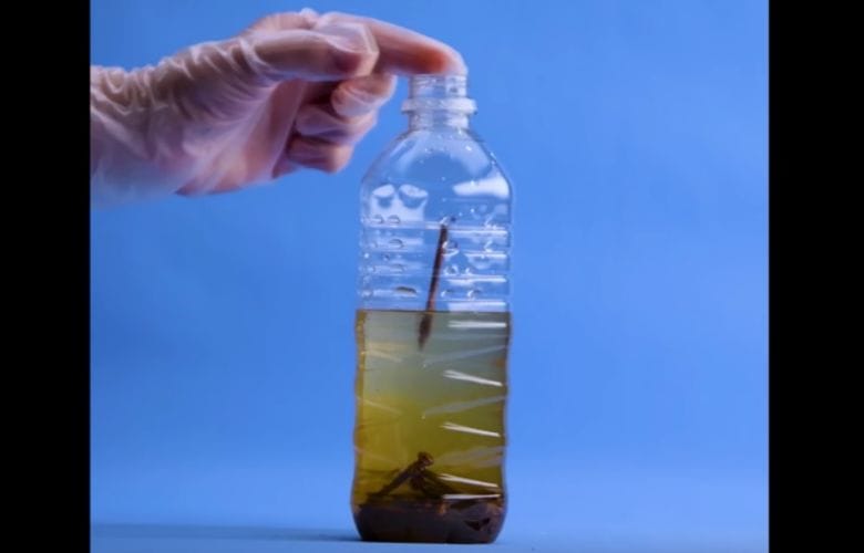 Placez des clous rouillés dans une bouteille en plastique et vous verrez ce que vous pouvez faire