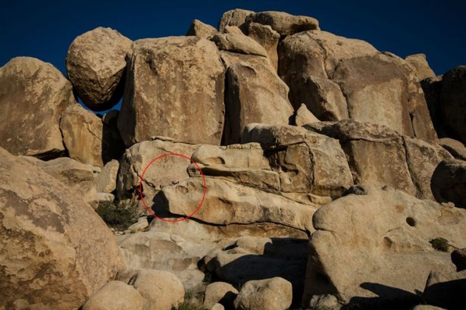 TEST : Trouverez-vous la jeune femme sur la photo ? Presque personne n’arrive à la trouver !