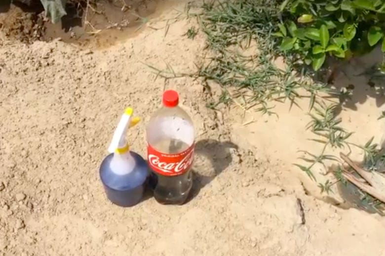 Ne jetez pas le coca sans bulle, utilisez-le dans votre jardin