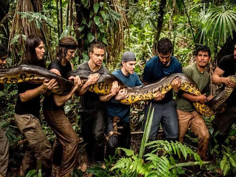 These Workers Found A Giant Snake - You Won't Believe What They Found Inside!