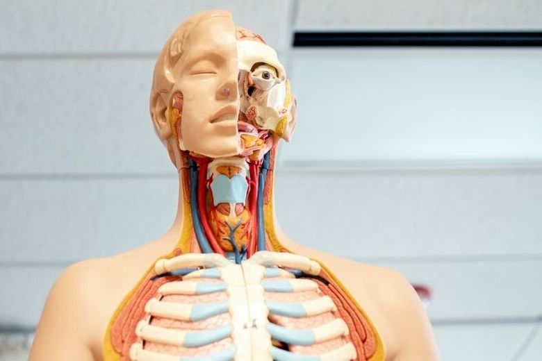 Lymph node cancer: how to recognize the most important symptoms