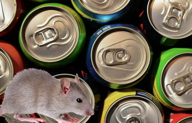 Do you drink soda straight from the can? This is why you probably shouldn't