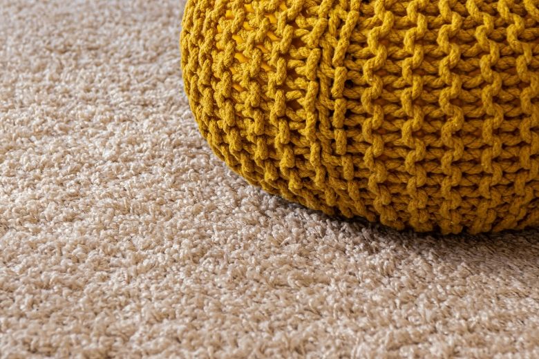 Here’s how to prevent and eliminate pests in your carpet or rug