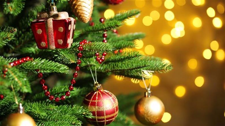 This is the biggest mistake people make when putting up their Christmas tree!
