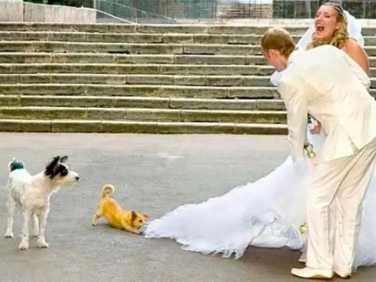 Wedding Whimsy: 37+ Unexpected Marriage Highlights!