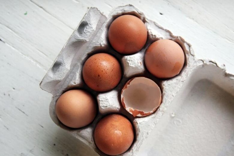 5x You can also get food poisoning from this food