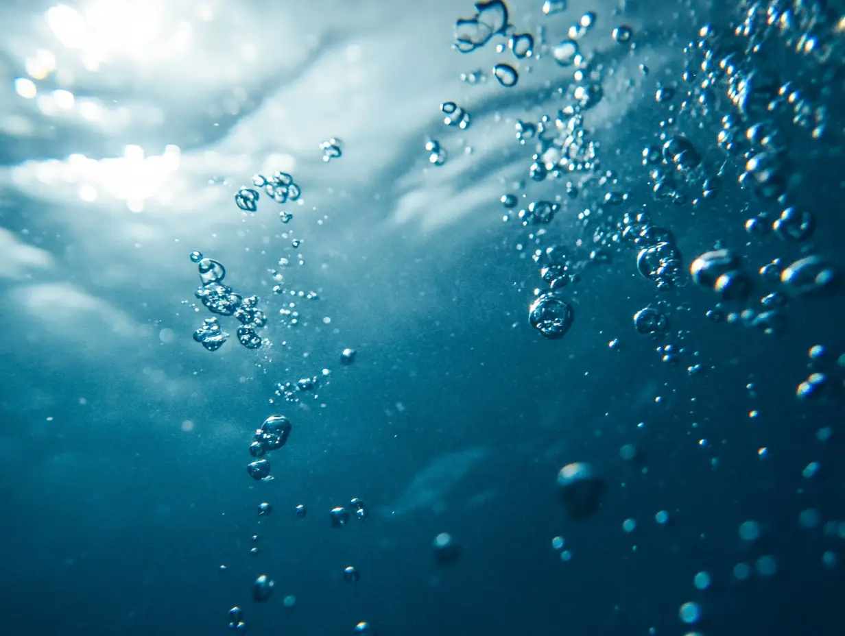 Fishermen Capsized by a Mysterious Sea Creature—What Surfaced Left Them Speechless