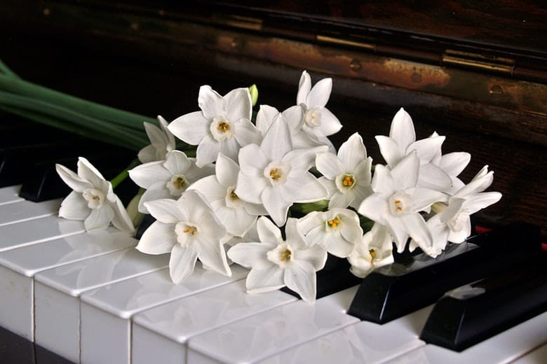 Warning: Police say you should NEVER put an address on a funeral card