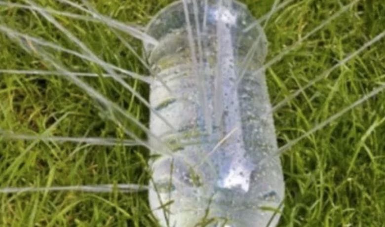 Do you have used plastic bottles at home? You will never guess what you can do with them!