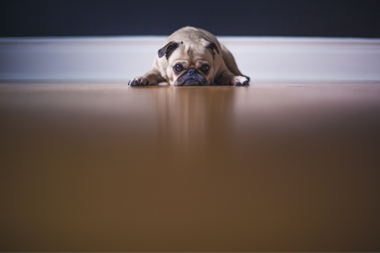 5 things that might make your home smell bad