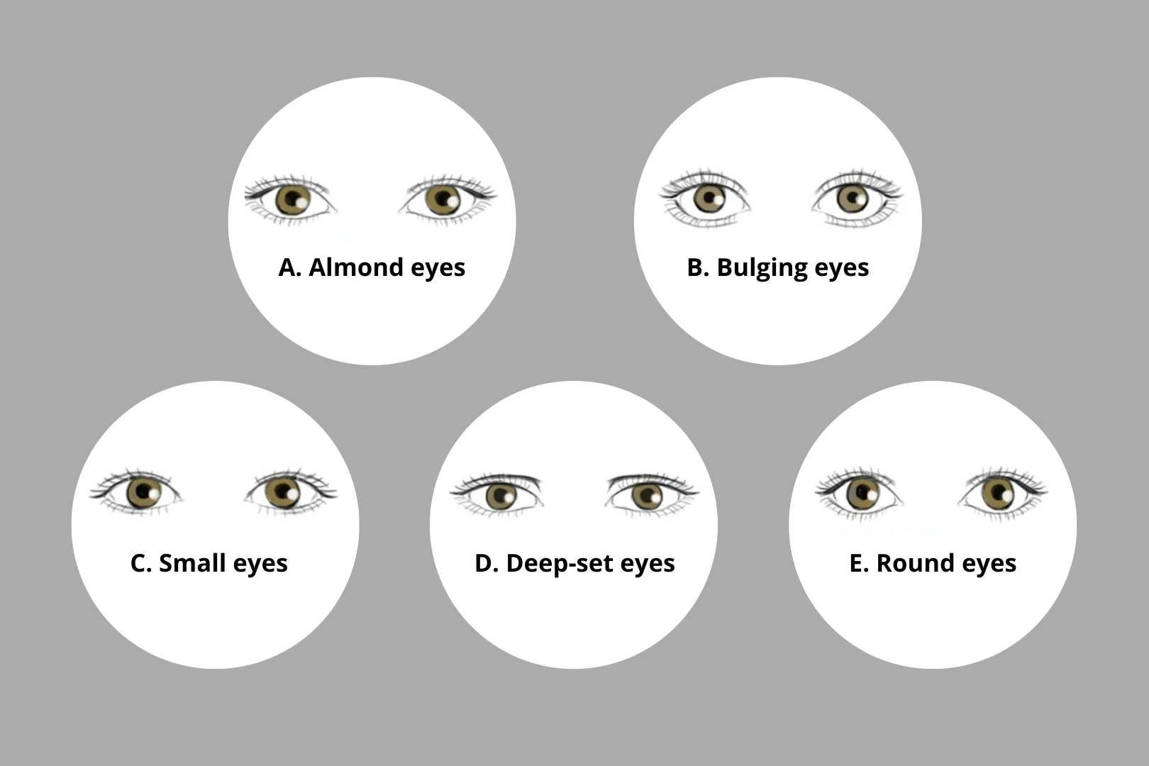 Your eyes can tell you a lot about your personality. What shape are your eyes?
