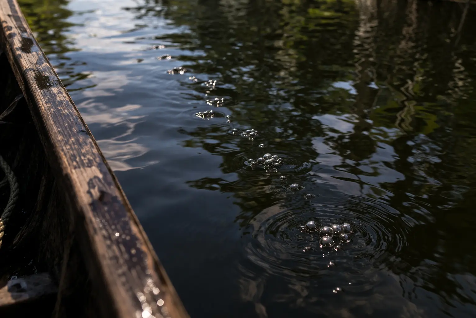 Brazilian Fisherman Thought He Found a River Monster — But the Truth Was Much Stranger