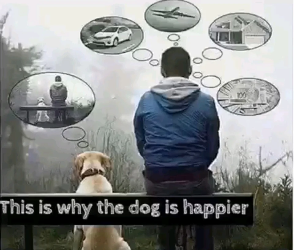 Pictures with a deep message about the sad reality of today's world