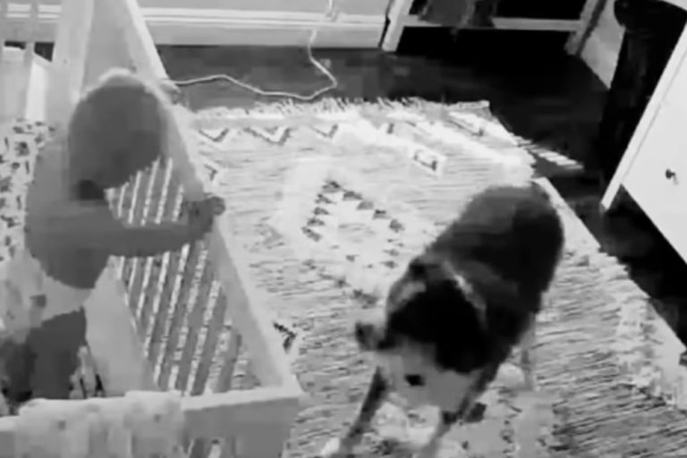 Couple Sets Up Hidden Camera In Baby's Room And Are Shocked By What They See
