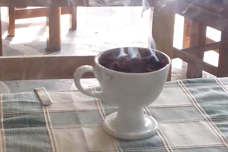 Oh no, wasps! No need to panic because with this trick they'll definitely stay away!