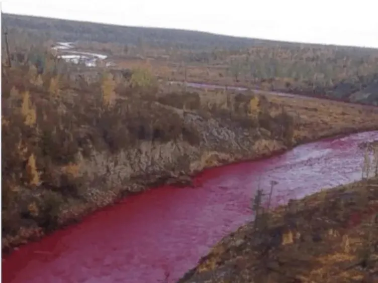 Think You've Seen It All? These Drone Photos Prove Otherwise!