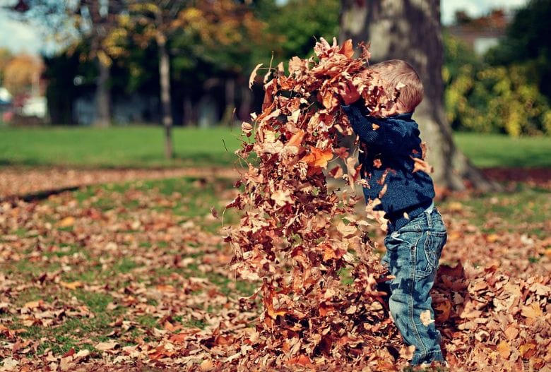 Garden clean-up: this is how to get rid of all of the autumn leaves in one go