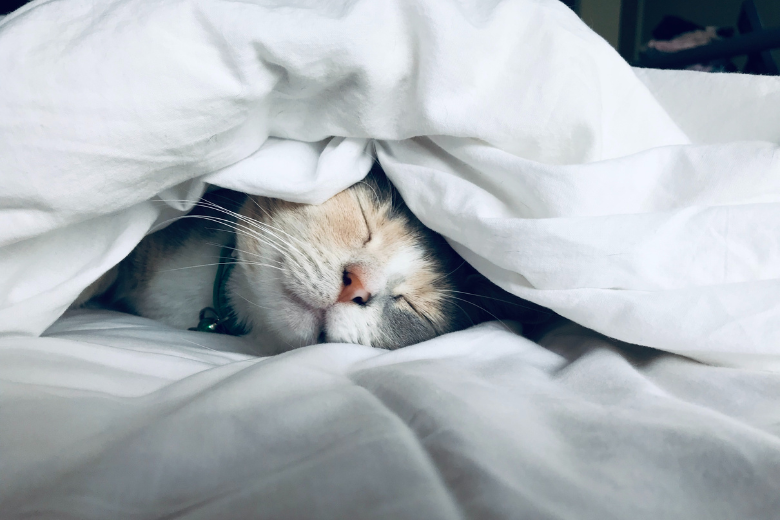 This is the secret to a good night's sleep