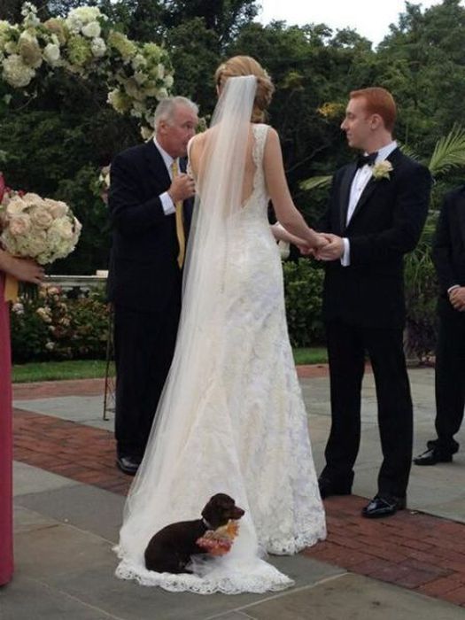 Crazy Wedding Moments Caught On Camera