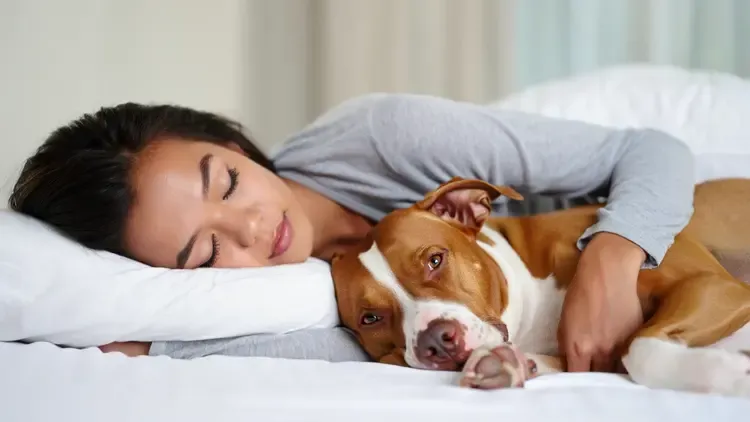 Woman Thought She Could Sleep Safely With Her Pet Dog Every Night, Until The Vet Showed Her The Startling Truth