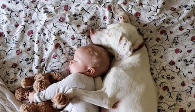 This abused dog is scared of everyone except his baby best friend... This is too cute!