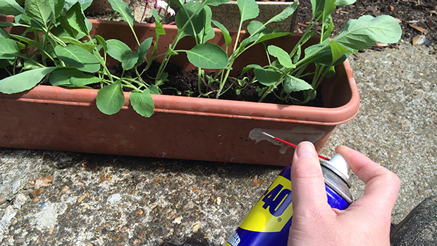 Have you ever seen this blue spray can called WD-40? This stuff is made of miracles!
