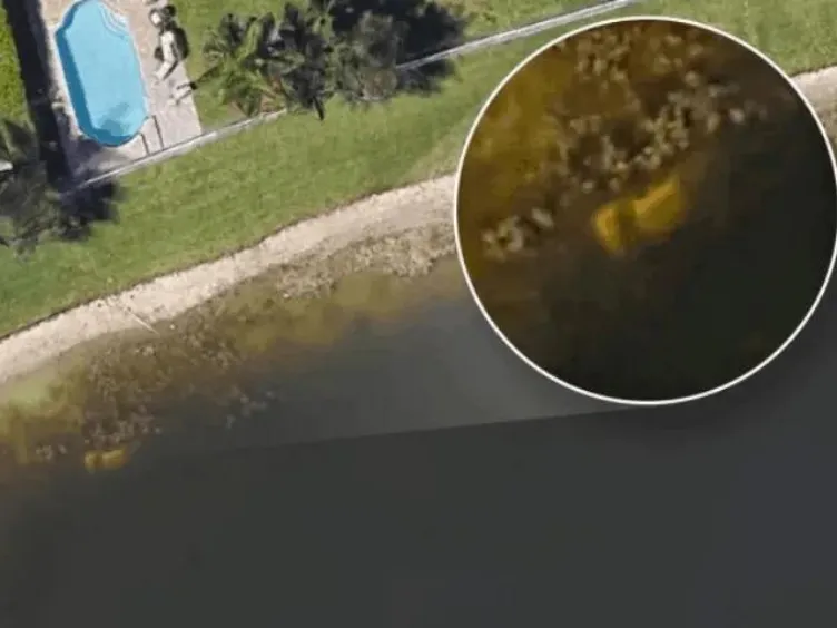 Think You've Seen It All? These Drone Photos Prove Otherwise!