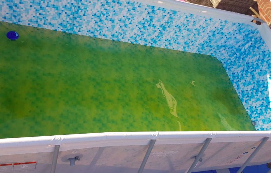 Make green pool water clear again with these three simple steps