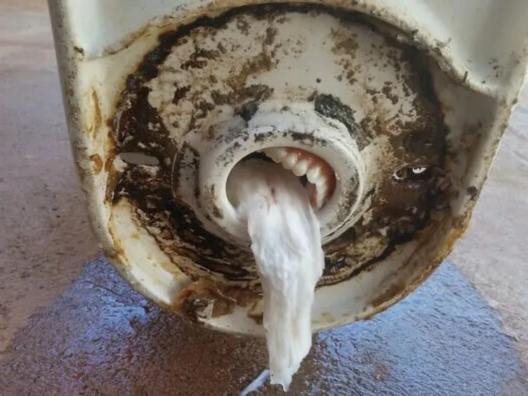 You WON'T BELIEVE What These Plumbers Found in Toilets! Number 17 is Hilarious!