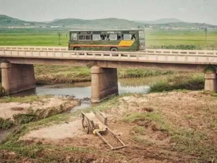 Hidden Realities of North Korea: A Startling Journey Beyond the Propaganda