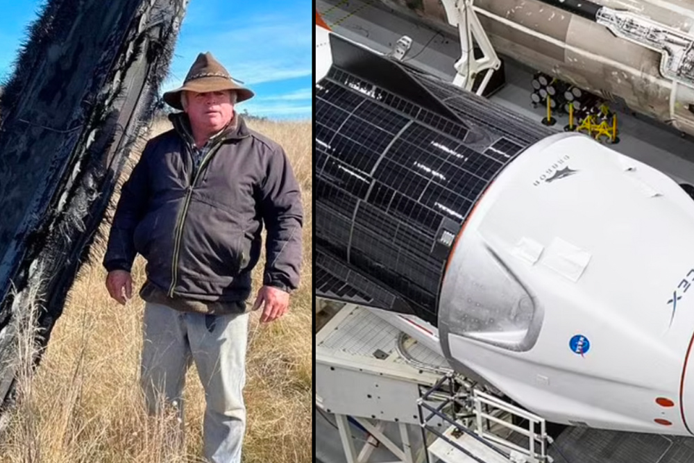 A Mysterious Large Object From Outer Space Crashed On A Sheep Farm In Australia 