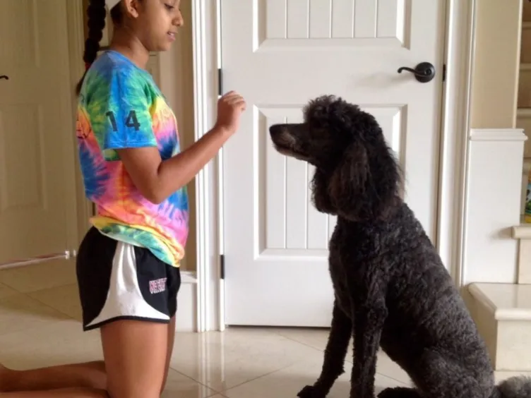 What's Your Dog Really Saying? Uncover 43+ Tips to Crack the Canine Code!
