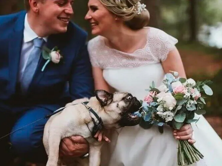 Wedding Whimsy: 37+ Unexpected Marriage Highlights!