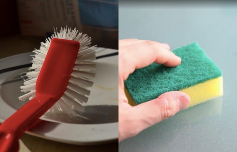 Dish brush vs. sponge: what's the better option? We've got the answer!