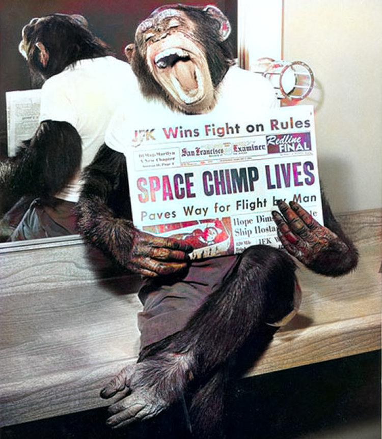 Famous And Iconic Historical Pictures - Colorized!