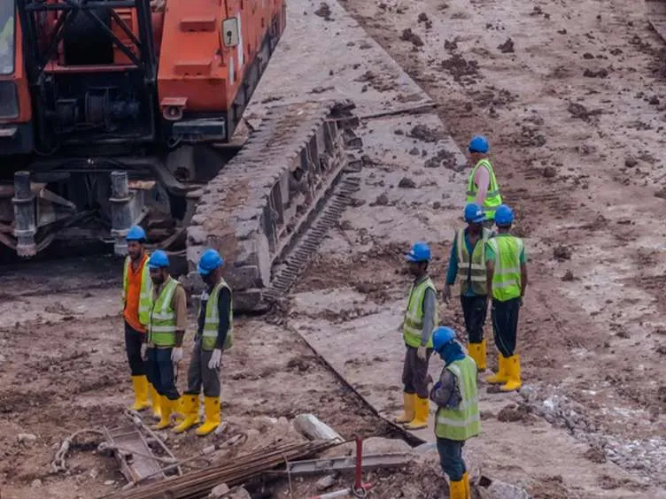 These Workers Found A Giant Snake - You Won't Believe What They Found Inside!