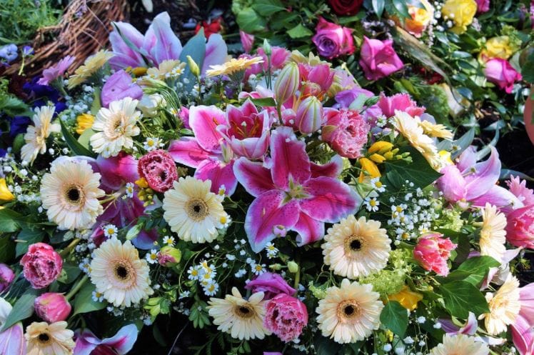 THIS is what your favourite flower says about your personality!