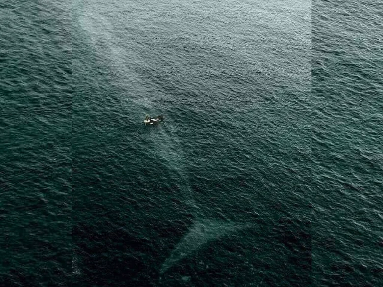 Chills and Thrills: Unbelievable Photos You'll Have to See Twice!