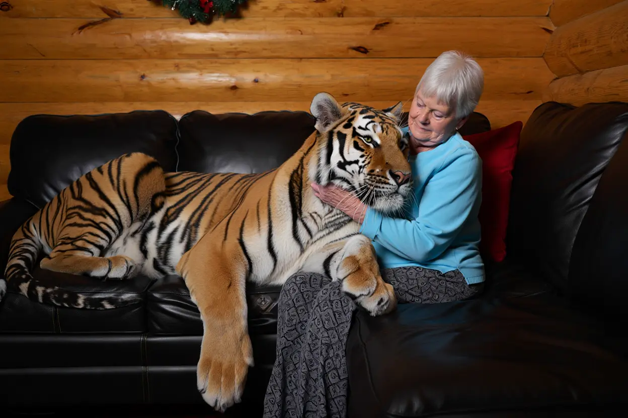 This Elderly Lady Lives Together With a Pet Tiger