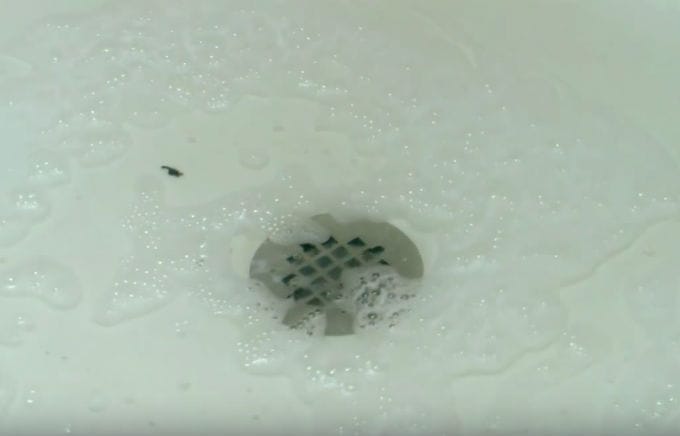 Got a clogged shower drain? This natural solution will unclog it for you in a jiffy!