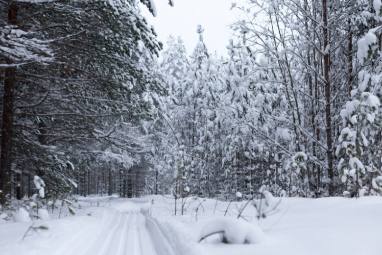 81-year-old survives week in snowbank eating candy & croissants