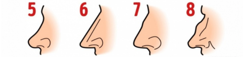 nose personality
