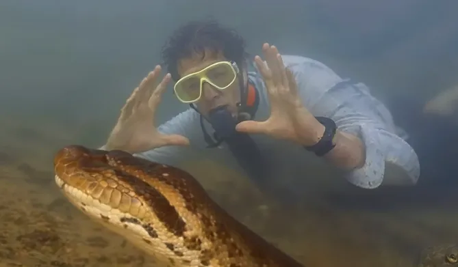 This Man Found A Giant Snake - He Couldn't Understand What Was Inside This Snake!