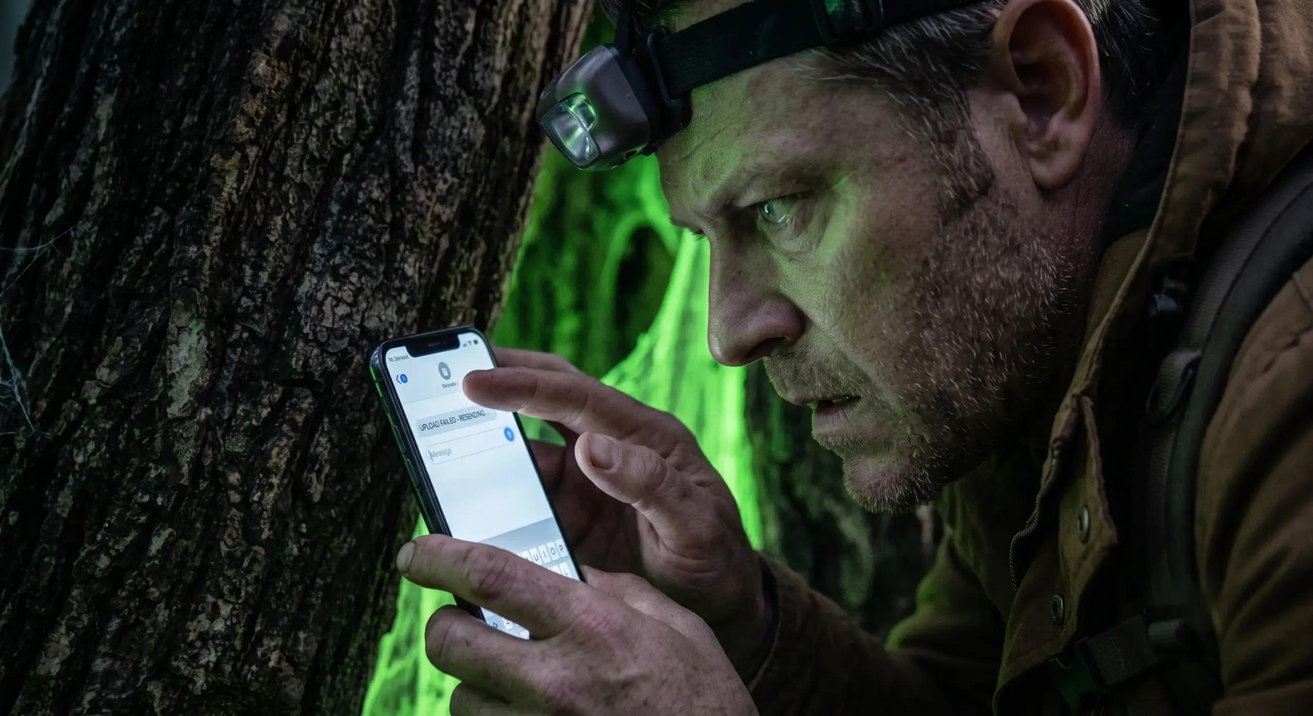 Man Follows Trail Of Spiders Into A Big Tree - When He Looked Closer, His Blood Ran Cold