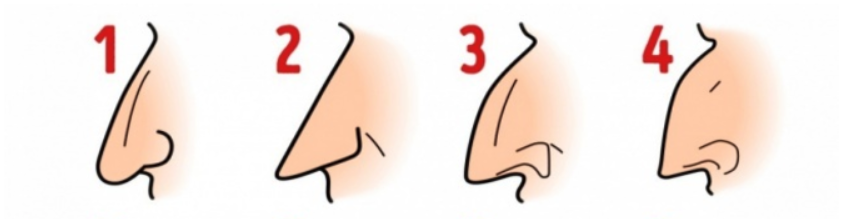 What kind of nose do you have? THIS is what it says about your personality!