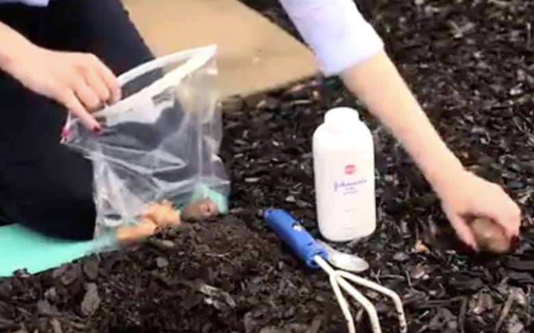 Here's why you should use baby powder in your garden! Genius!